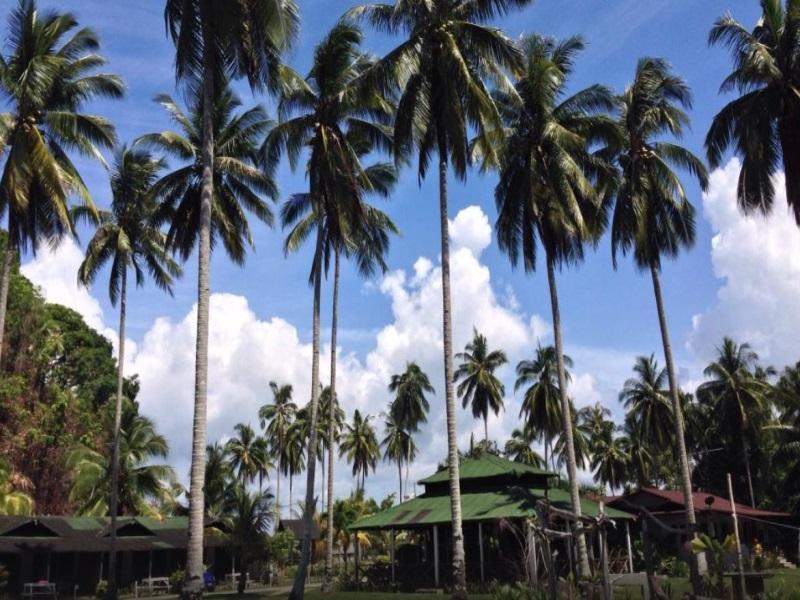 Fishing Bay Resort Mersing Extérieur photo